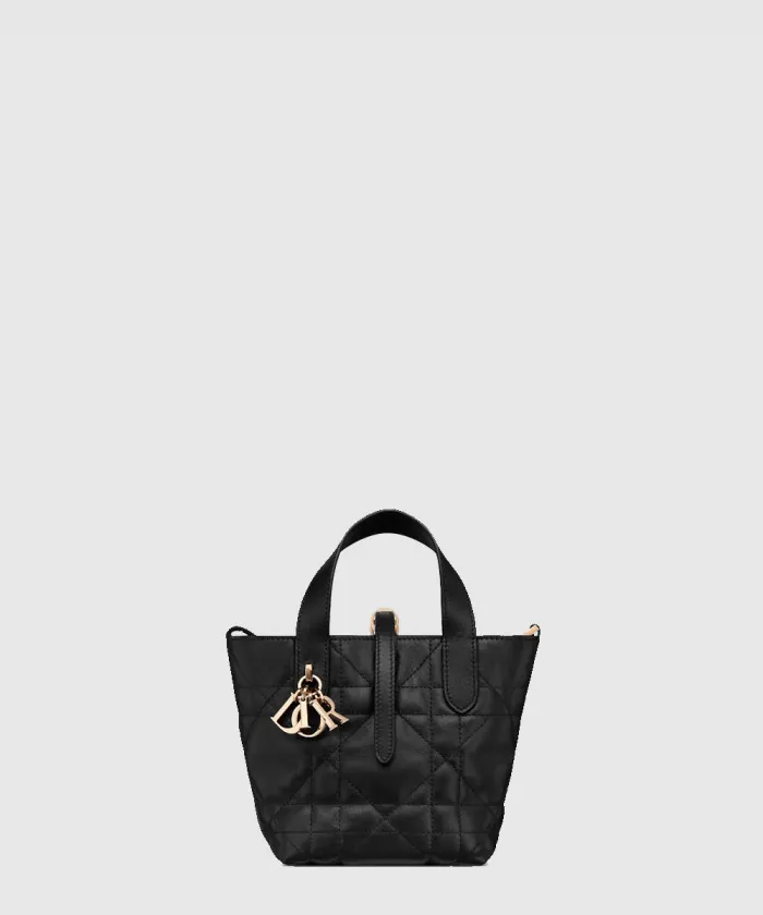 디올 Toujours 버티컬 나노 토트백S6100