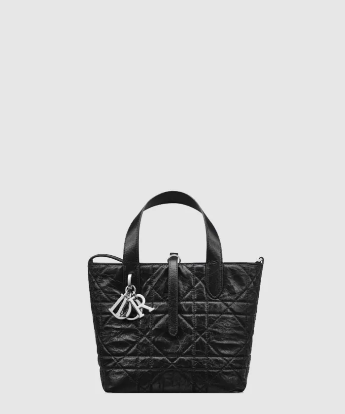 디올 Toujours 스몰 버티컬 토트백 M2835