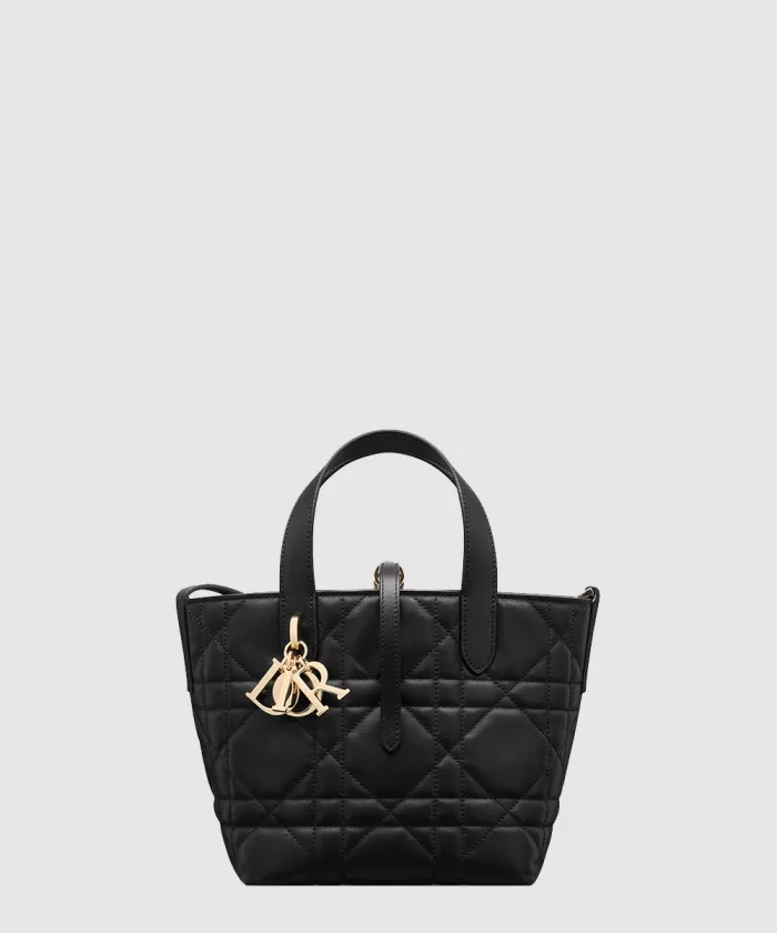 디올 Toujours 스몰 버티컬 토트백 M2835