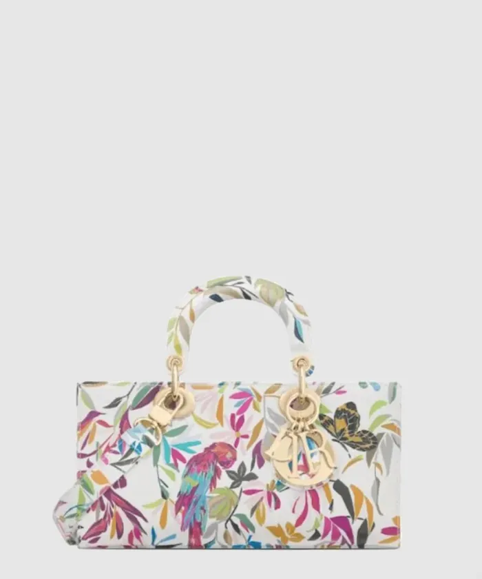 디올 레이디 디조이백 미듐 M0540