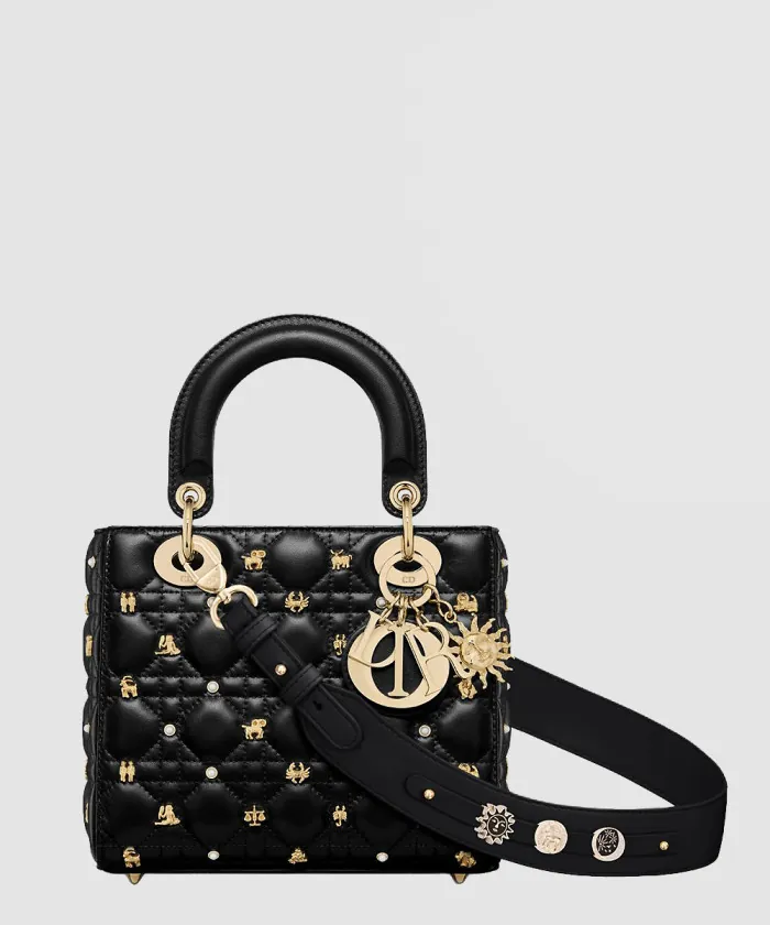 디올 레이디백 ABC M0538