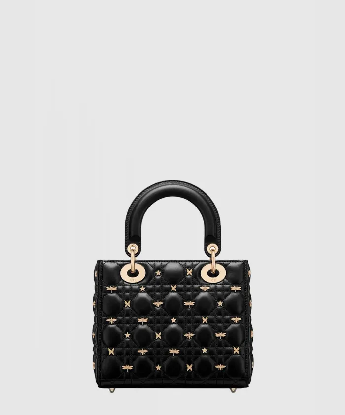 디올 레이디백 ABC M0538