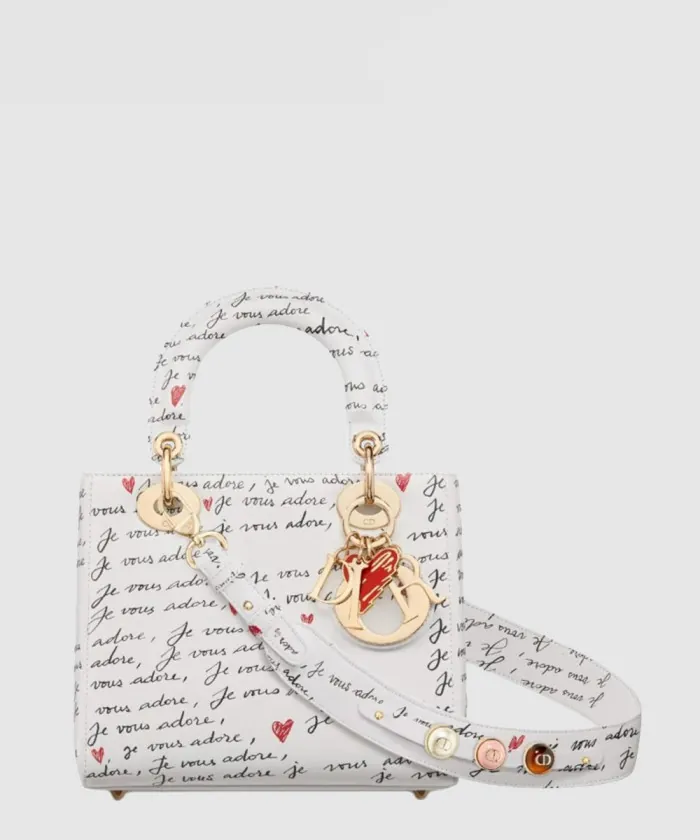 디올 레이디백 ABC M0538