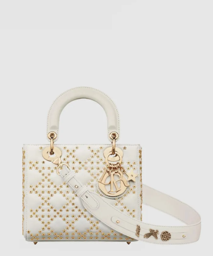 디올 레이디백 ABC M0538