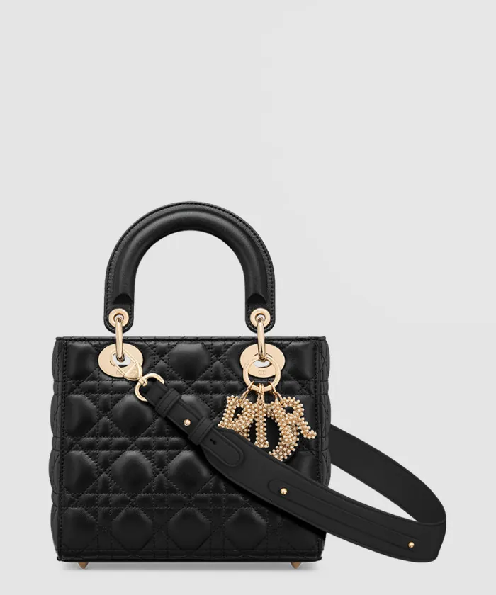 디올 레이디백 ABC M0538