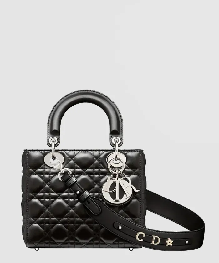 디올 레이디백 ABC M0538