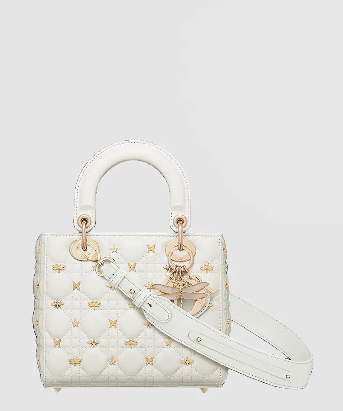 디올 레이디백 ABC M0538