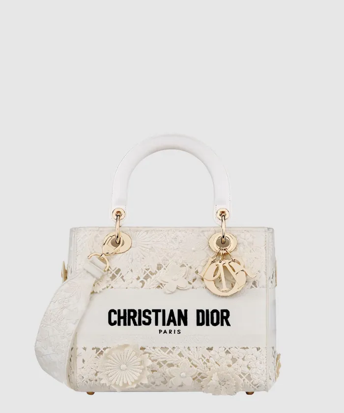 디올 레이디백 램스킨 미듐 M0565