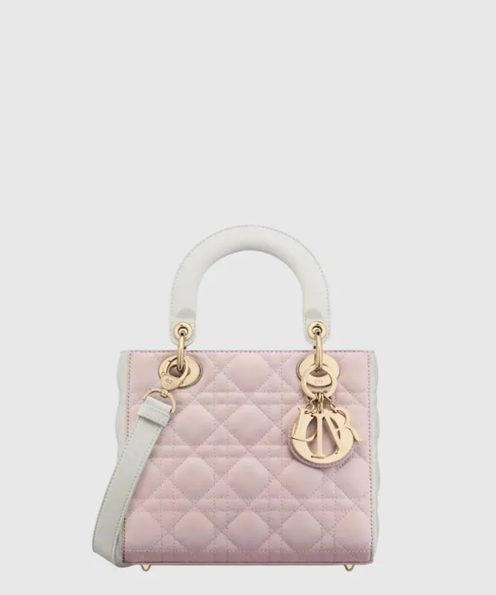 디올 레이디백 램스킨 스몰 M0531