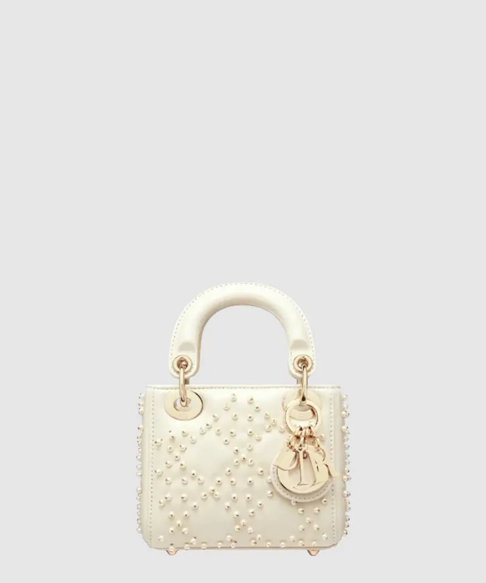 디올 레이디백 마이크로 S0856