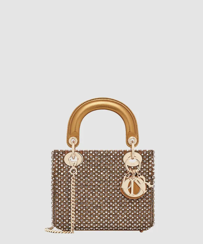 디올 레이디백 미니 M0505