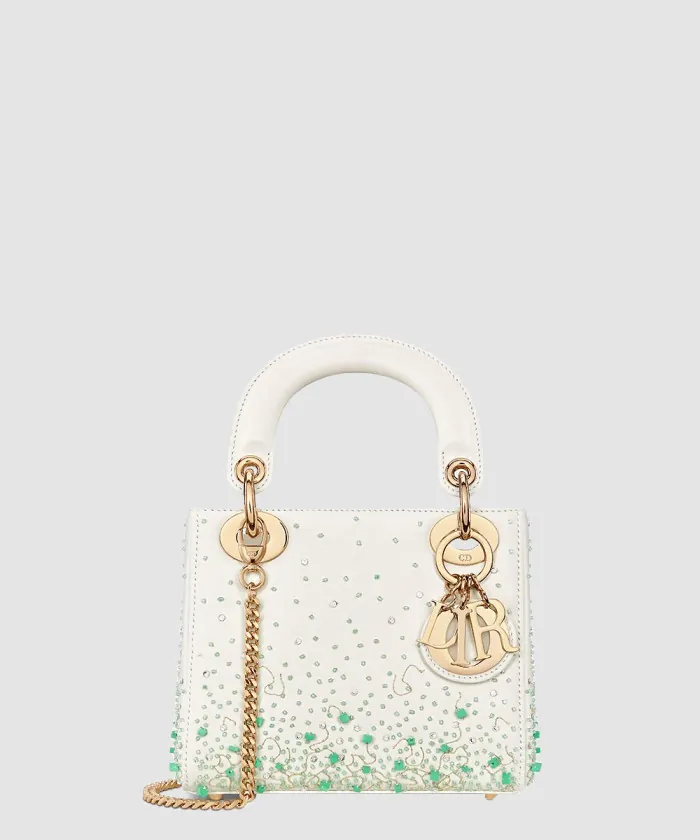 디올 레이디백 미니 M0505