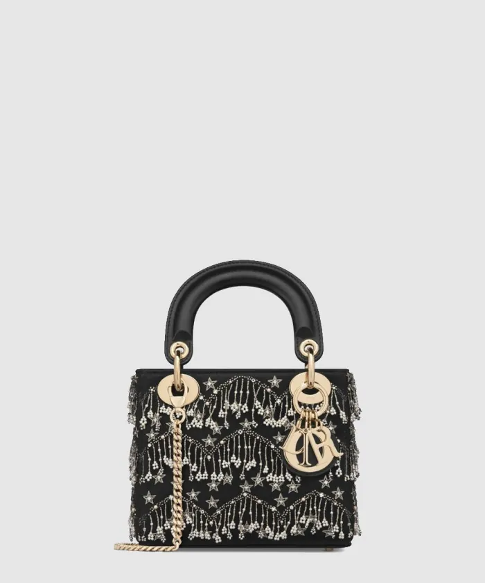 디올 레이디백 미니 M0505