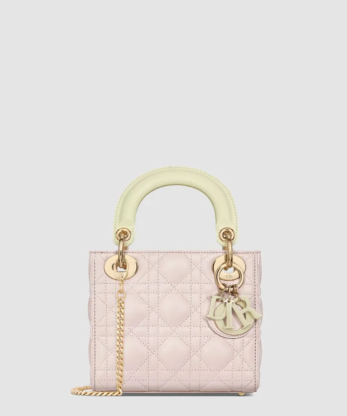 디올 레이디백 미니 M0505