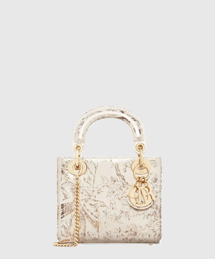 디올 레이디백 미니 M0505