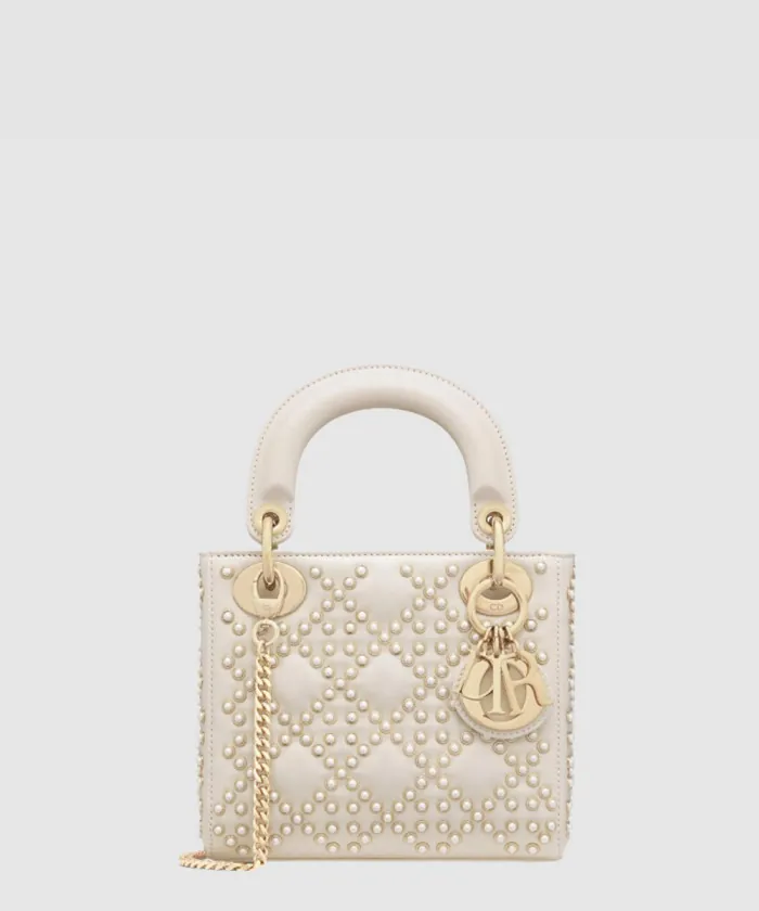 디올 레이디백 울트라 매트 미니 M0505