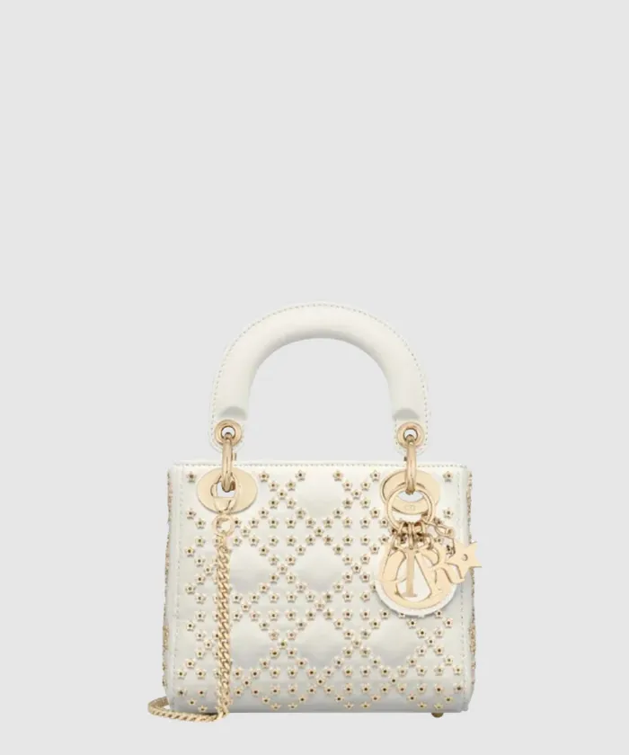 디올 레이디백 울트라 매트 미니 M0505